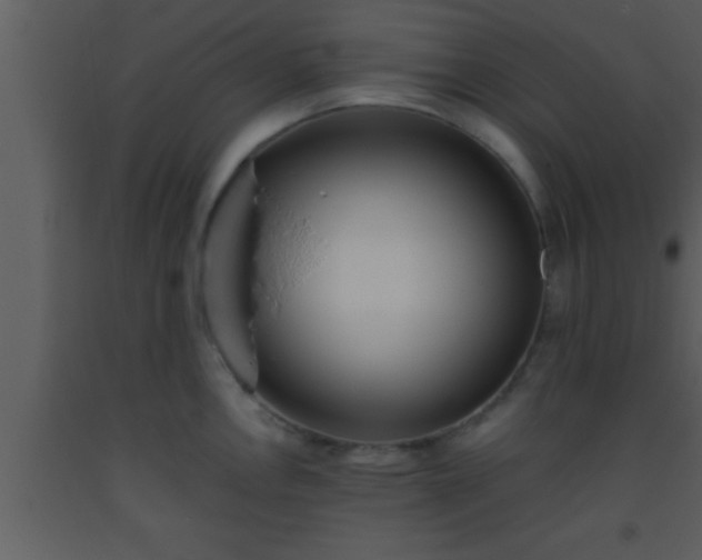 X0000093511146200710191305