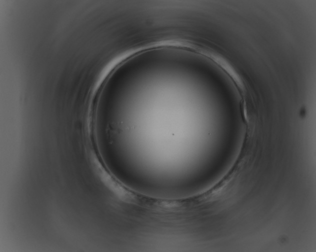 X0000093511148200710191305