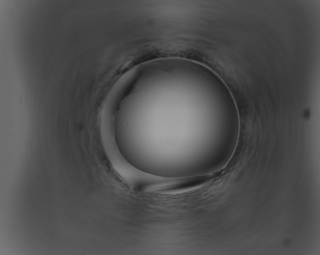 X0000093511153200710191304
