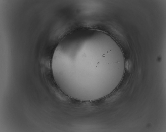 X0000093511155200710191304