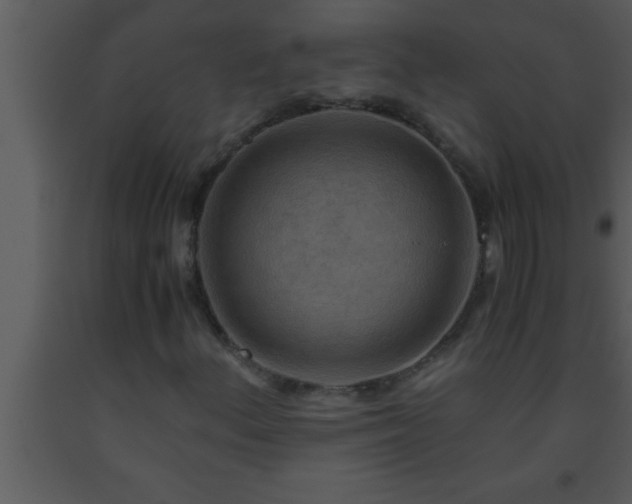 X0000093511156200710191304