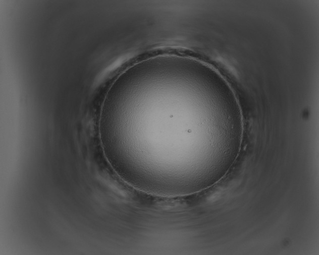 X0000093511159200710191304