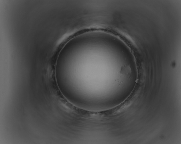 X0000093511160200710191304
