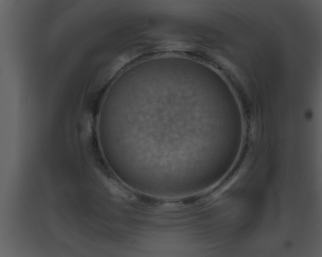 X0000093511161200710191304