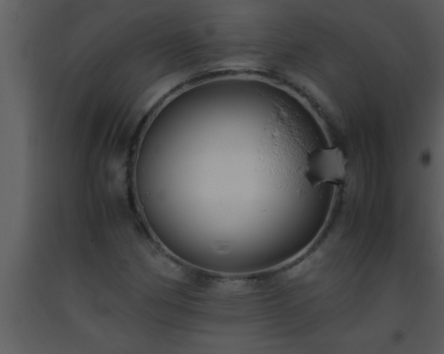X0000093511162200710191304