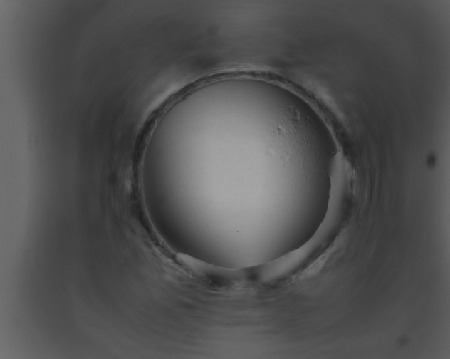 X0000093511165200710191304