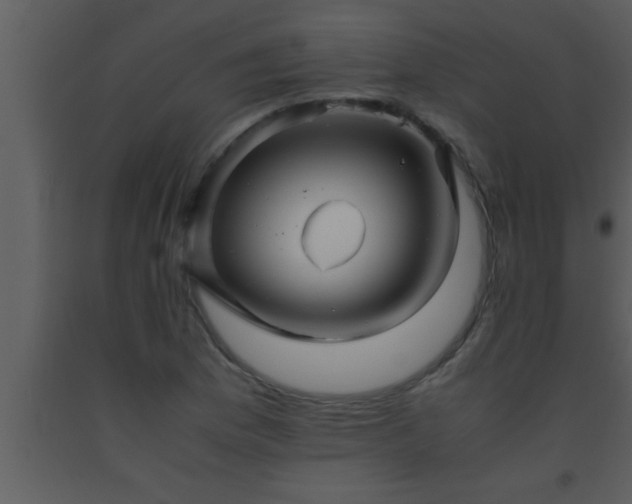X0000093511169200710191304
