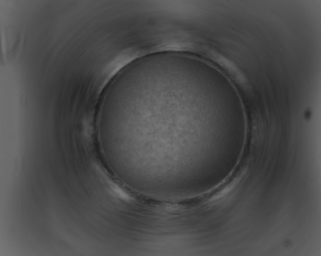 X0000093511170200710191304