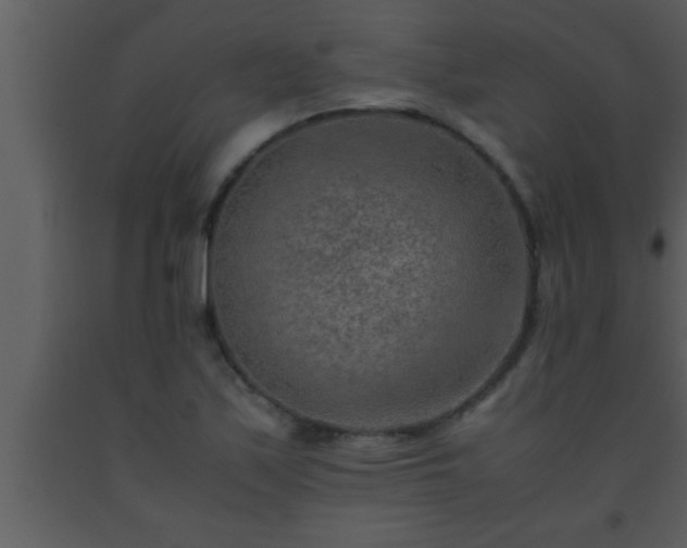 X0000093511171200710191304