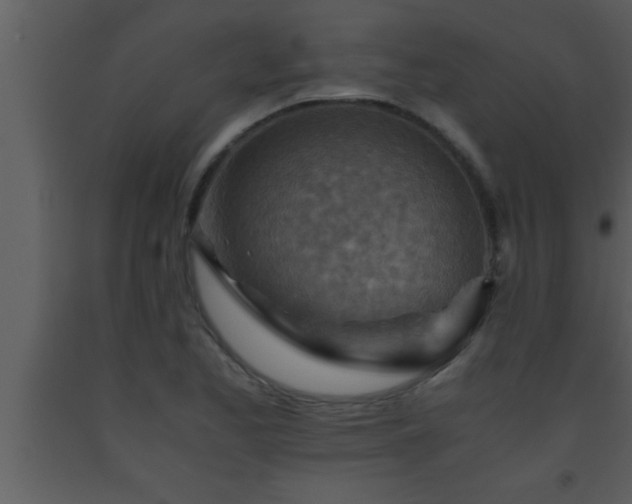 X0000093511173200710191304