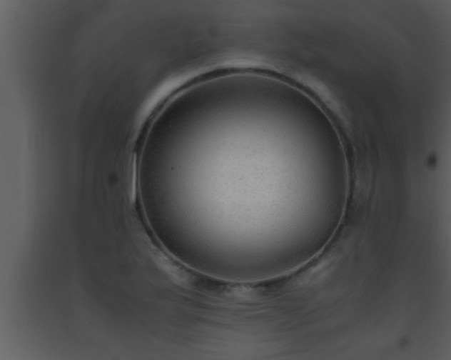 X0000093511175200710191304
