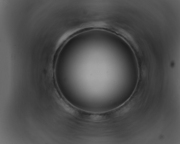 X0000093511176200710191304