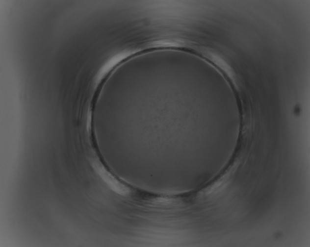 X0000093511179200710191304