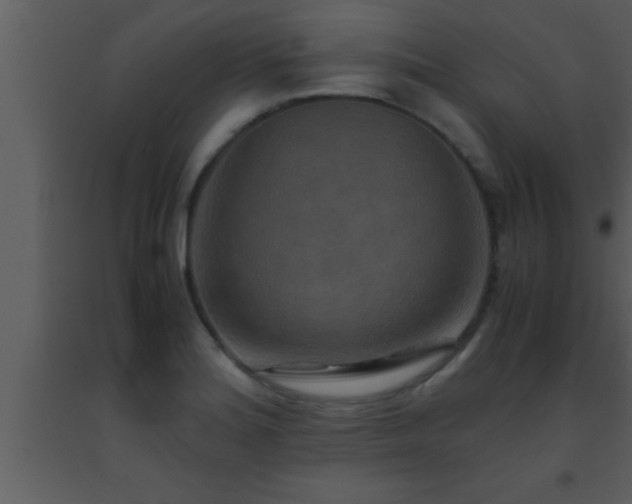 X0000093511180200710191304