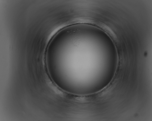 X0000093511182200710191304