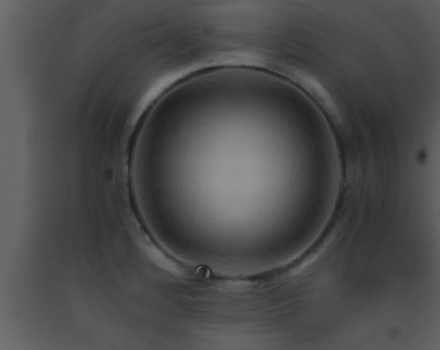 X0000093511184200710191304