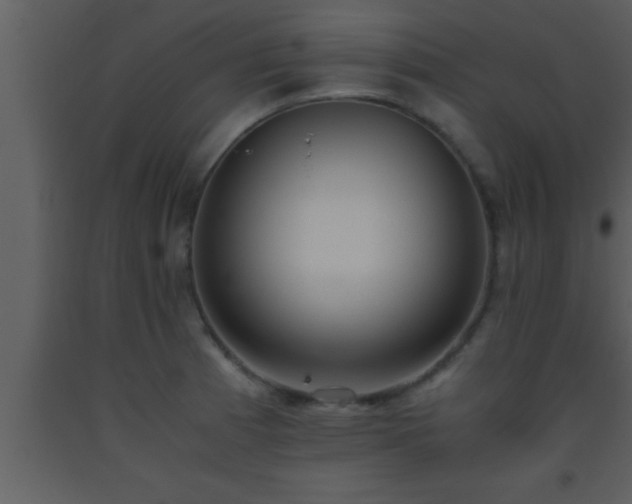 X0000093511185200710191304