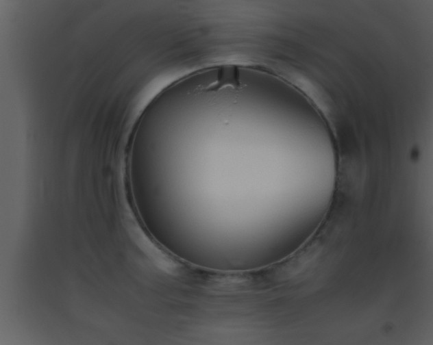 X0000093511187200710191303