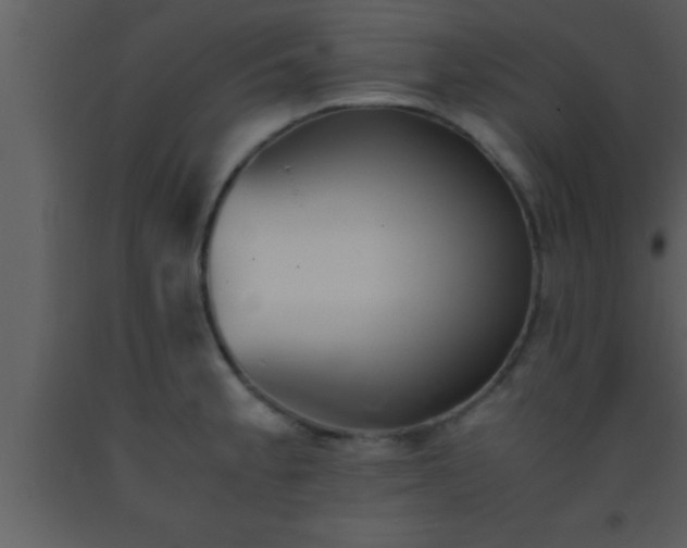 X0000093511189200710191303