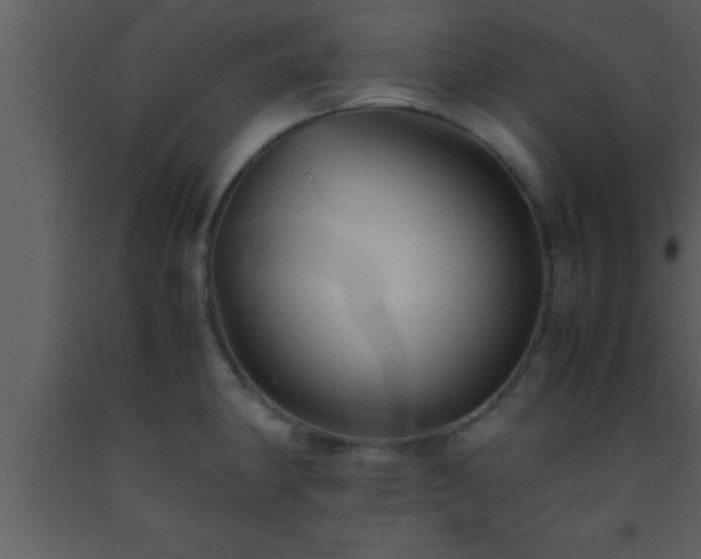 X0000093511190200710191303