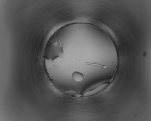 X0000093511192200710191303