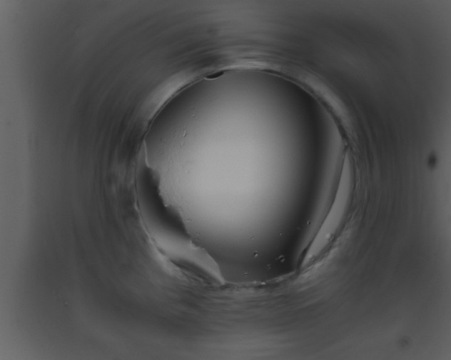 X0000093511193200710191303