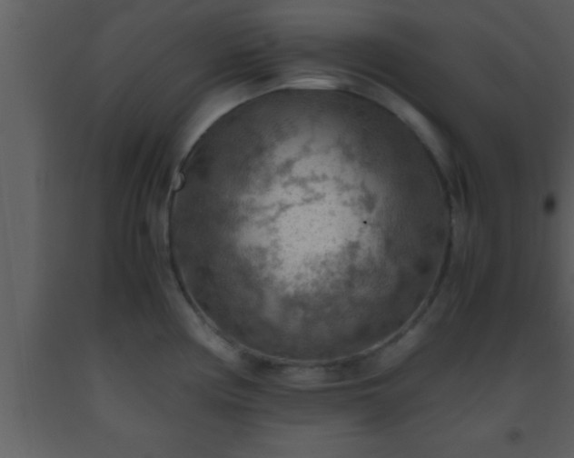 X0000093511194200710191303