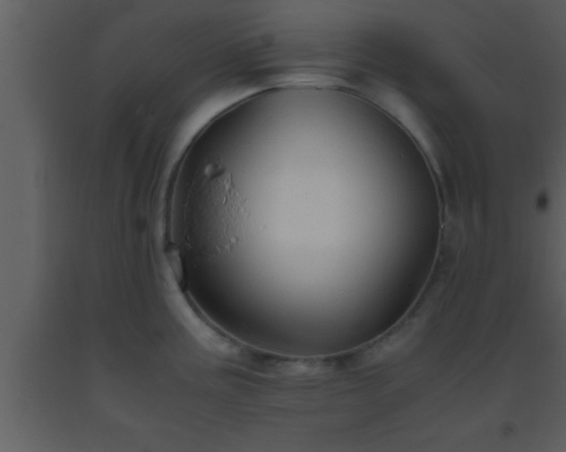 X0000093511195200710191303
