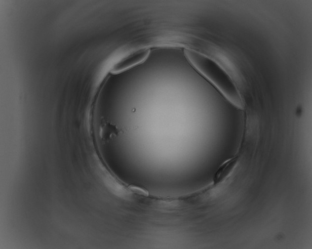 X0000093511196200710191303