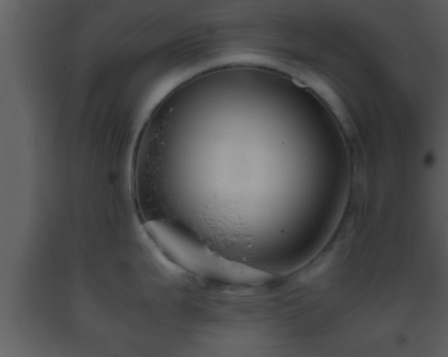 X0000093511199200710191303