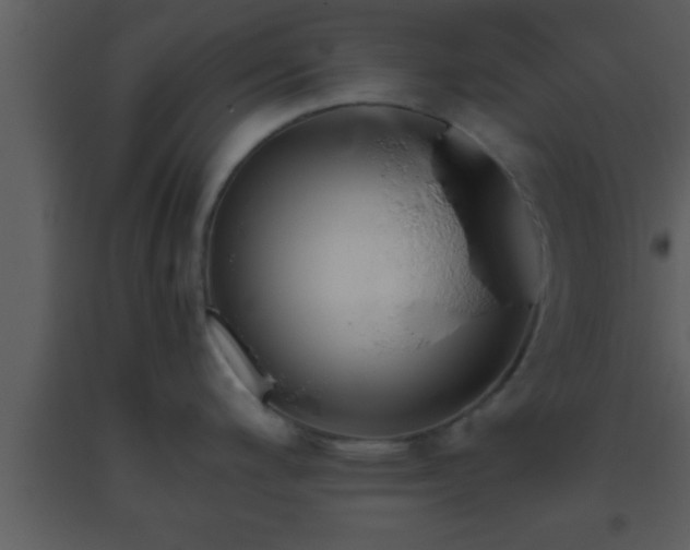 X0000093511200200710191303