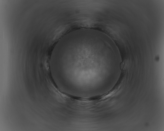 X0000093511202200710191303