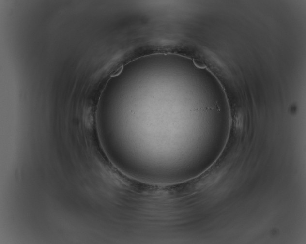 X0000093511204200710191303