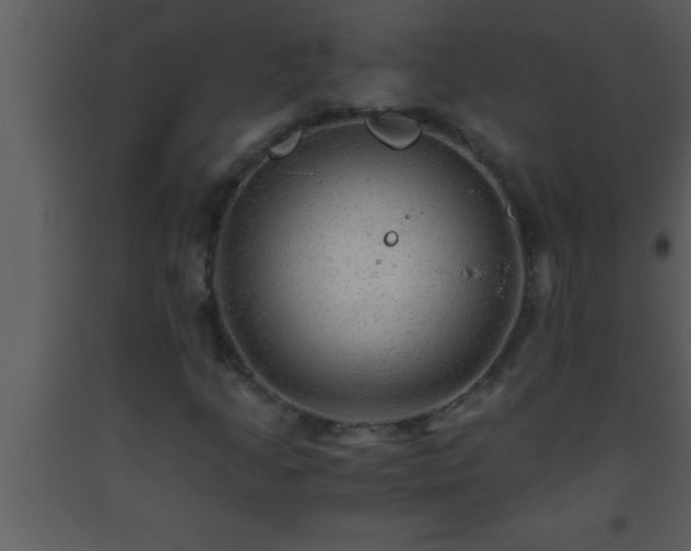 X0000093511205200710191303