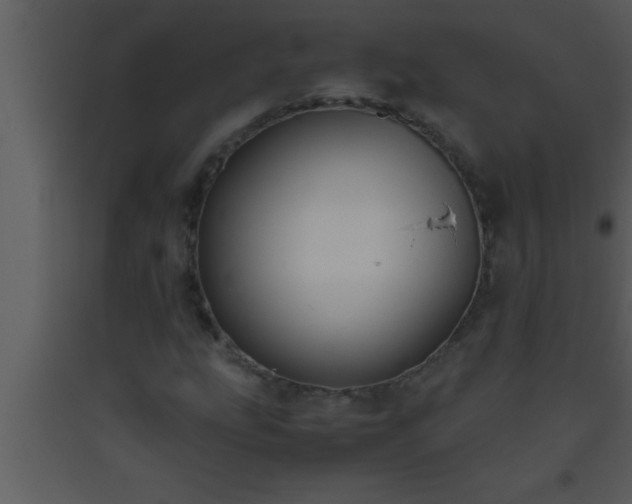X0000093511207200710191303