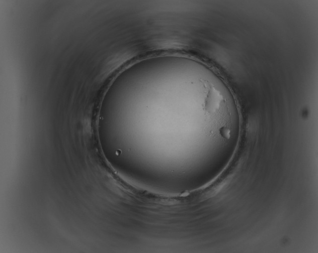 X0000093511209200710191303
