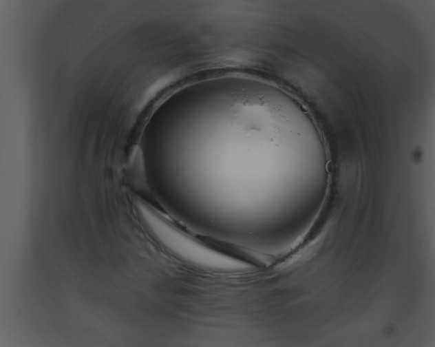 X0000093511210200710191303