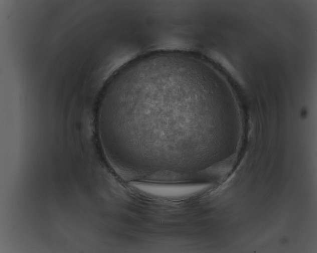 X0000093511213200710191303