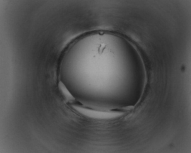 X0000093511214200710191303