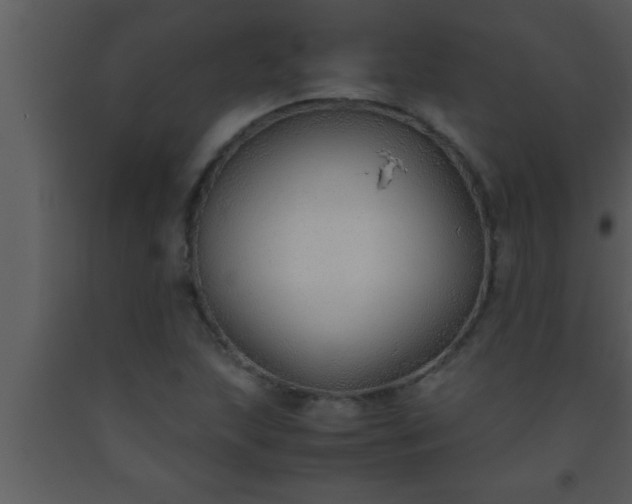 X0000093511215200710191303