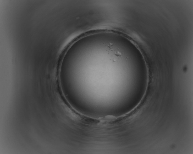 X0000093511216200710191303
