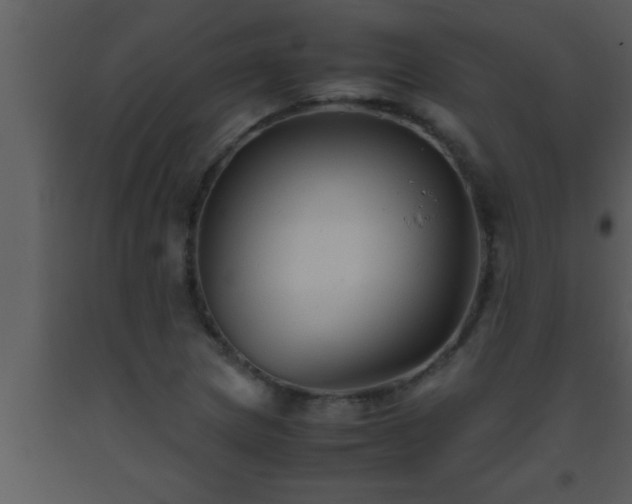 X0000093511217200710191303
