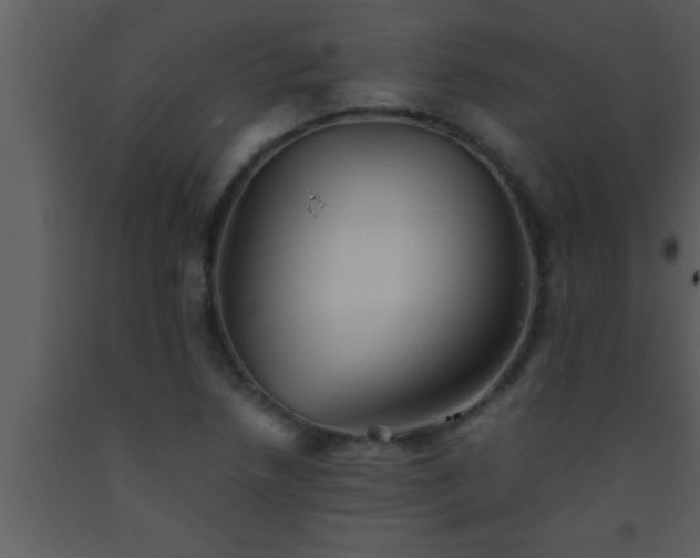 X0000093511218200710191303