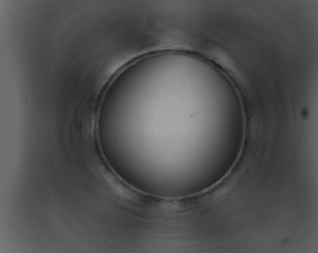 X0000093511220200710191303