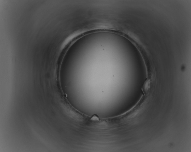 X0000093511222200710191303