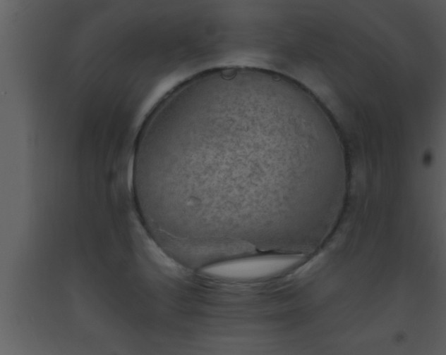 X0000093511224200710191303
