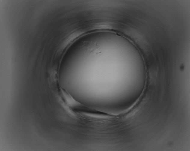 X0000093511225200710191303