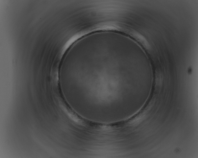 X0000093511226200710191303