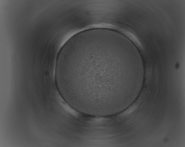 X0000093511228200710191303