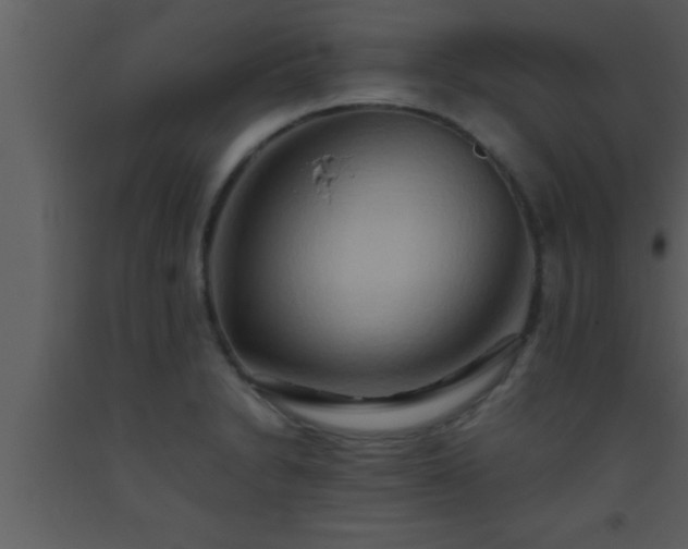 X0000093511230200710191303